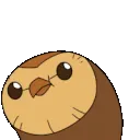 7HootyDance