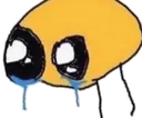 sadsad