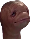 Meat Meat