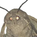 MrMoth