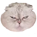 taygrump Discord Emoji