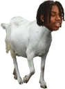 Pologoat Discord Emoji