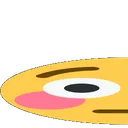 flosh1