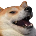 DogKek