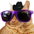 CoolCHat