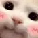 catBlushy