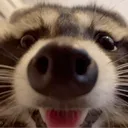 TPoverwhelmingJoy TPoverwhelmingJoy