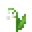flower_lily_of_the_valley flower_lily_of_the_valley