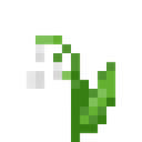 :flower_lily_of_the_valley: