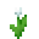 flower_tulip_white Discord Emoji