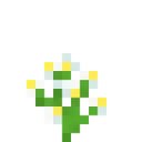 flower_azure_bluet Discord Emoji