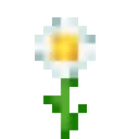 flower_oxeye_daisy Discord Emoji