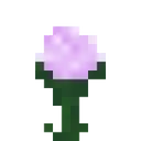 flower_paeonia Discord Emoji