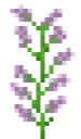 flower_lilac Discord Emoji