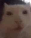 mewhen