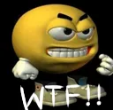 wtf