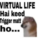zhr_virtuallife zhr_virtuallife