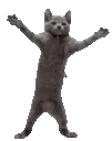DougieMildlyFast