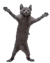 DougieFast
