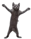 DougieHyperSpeed