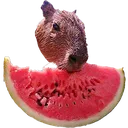 Melonbara Melonbara