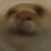 _Cat_Nod_Round
