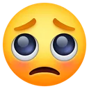 pleading