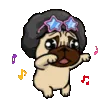 pugdance3