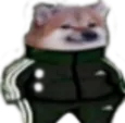 cheemsadidas