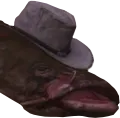 HatFish HatFish