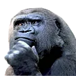 apeTHINK
