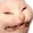 hiss hiss