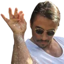 saltbae