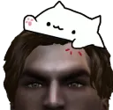 bongoarc2