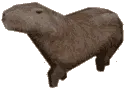 Capy3D