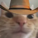 texas texas