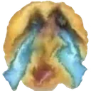uglycry