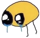 cri