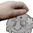 nicopet