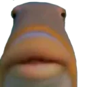 hubert hubert