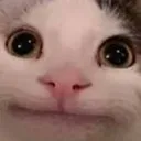UnamusedCat