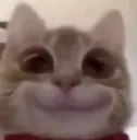 aaaaaa