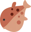 blowfishLookinAtThePersonTyping