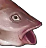 codpogR