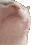 catJAM catJAM