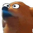 dogJAm dogJAm
