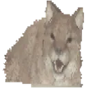 reeLynx reeLynx