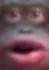 monky