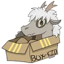 boxkozy