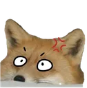 ScaredFox ScaredFox